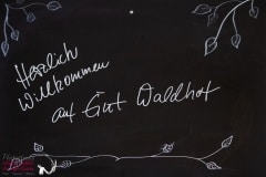 Photostudio-neues-leben-ute-vogel-rusche-HKH-WaldhofOpen2019-web-1107