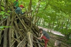 250518-Niendorfer-Gehege-02