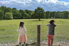 250518-Niendorfer-Gehege-05