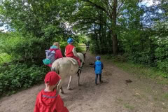 250518-Niendorfer-Gehege-07