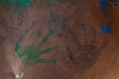 Herz-kinder-hilfe-Hamburg-Ross-und-racker-2019-ute-vogel-rusche-100
