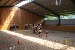 Herz-kinder-hilfe-Hamburg-Ross-und-racker-2019-ute-vogel-rusche-111