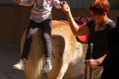 Herz-kinder-hilfe-Hamburg-Ross-und-racker-2019-ute-vogel-rusche-119