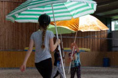 Herz-kinder-hilfe-Hamburg-Ross-und-racker-2019-ute-vogel-rusche-35