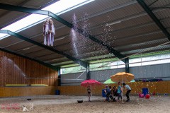 Herz-kinder-hilfe-Hamburg-Ross-und-racker-2019-ute-vogel-rusche-38