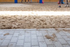 Herz-kinder-hilfe-Hamburg-Ross-und-racker-2019-ute-vogel-rusche-48