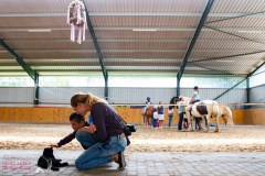 Herz-kinder-hilfe-Hamburg-Ross-und-racker-2019-ute-vogel-rusche-55