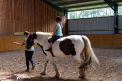 Herz-kinder-hilfe-Hamburg-Ross-und-racker-2019-ute-vogel-rusche-58