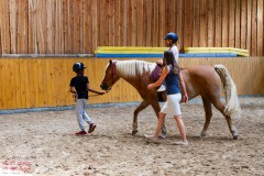 Herz-kinder-hilfe-Hamburg-Ross-und-racker-2019-ute-vogel-rusche-70