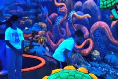 Schwarzlicht-2025-61