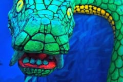 Schwarzlicht-2025-65