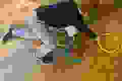 TdhkKindes-050524-08